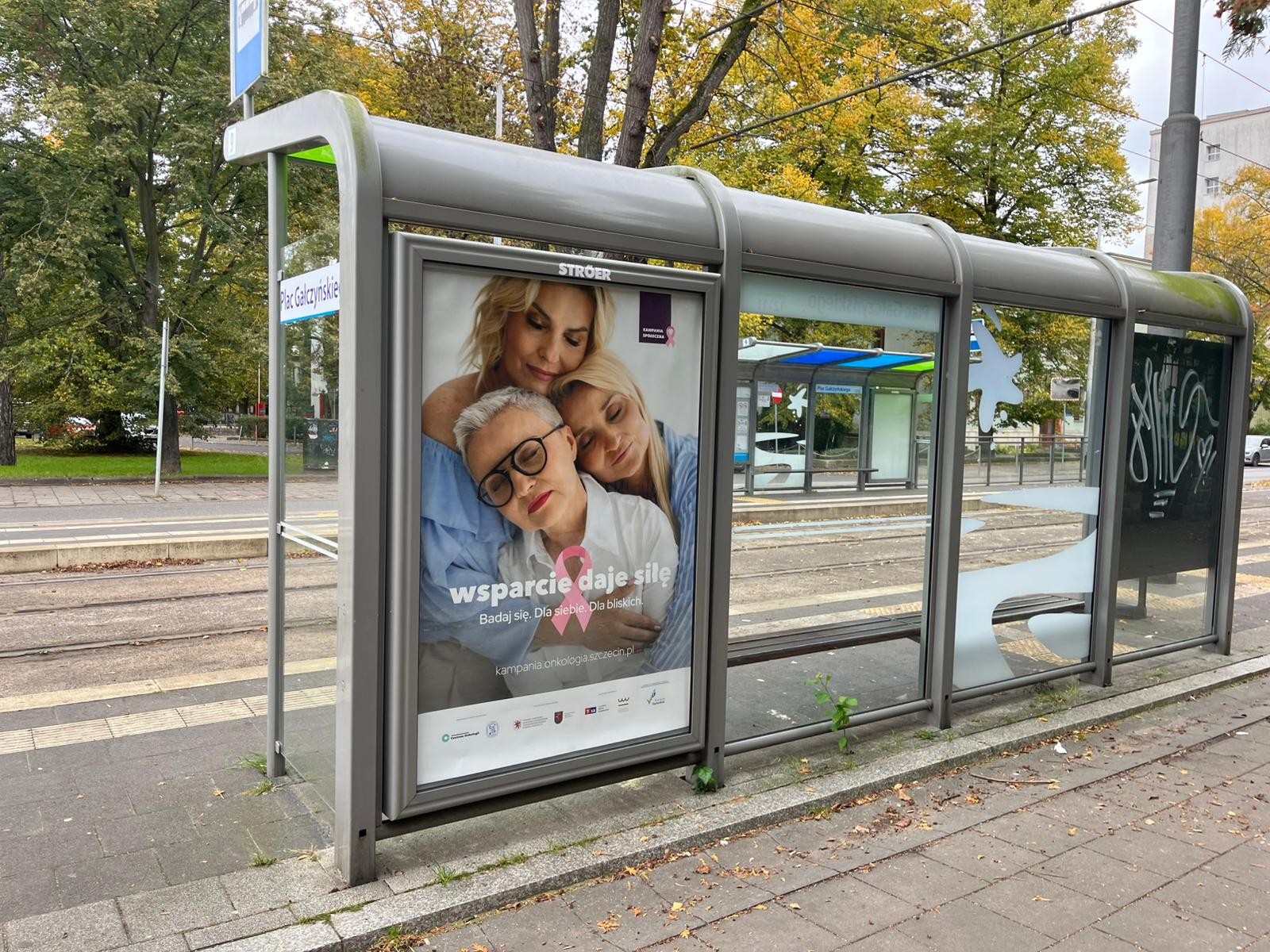 Wsparcie daje siłę 1 wiata